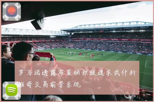 罗马诺透露布莱顿积极追求武什科维奇交易前景乐观